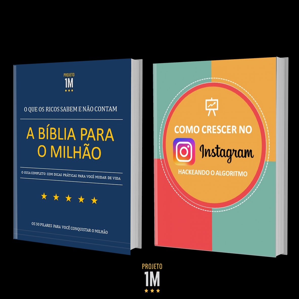 a biblia para o milhao como crescer no instagram