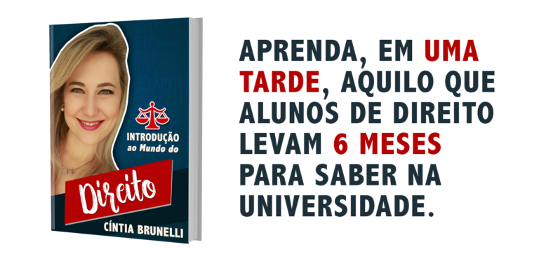 Introdução ao Mundo do Direito (eBook) – Cíntia Brunelli