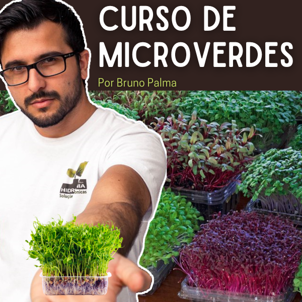 Curso de Microverdes: vale a pena para aprender a cultivar microverdes em casa e na hidroponia?