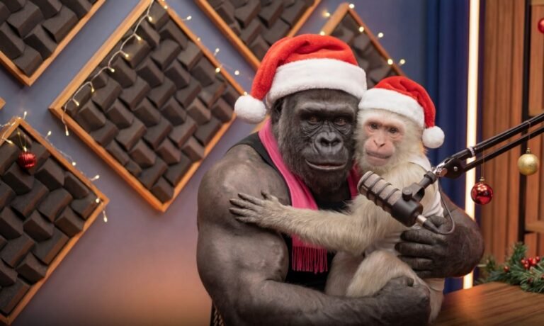 Detalhes Curso GorilaCast 2026 4 Detalhes Curso GorilaCast 2026