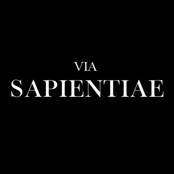 Via Sapientiae – Curso de Línguas Bíblicas para quem busca profundidade no estudo e não velocidade superficial