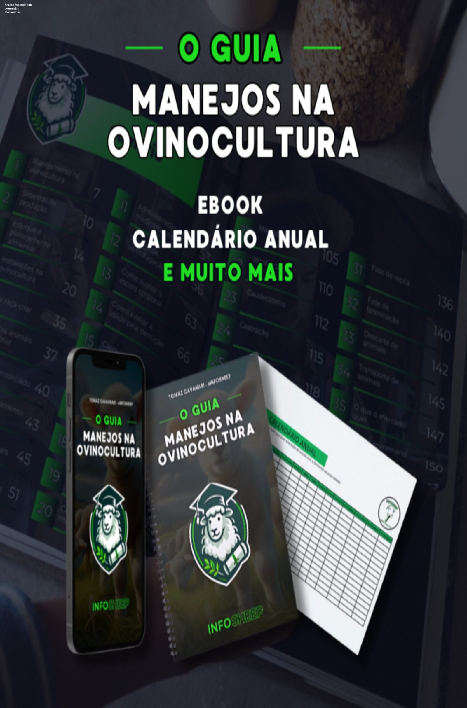 Capa do produto Guia de manejos - Ovinocultura