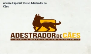Capa informativa sobre o tema Curso Adestrador de Cães