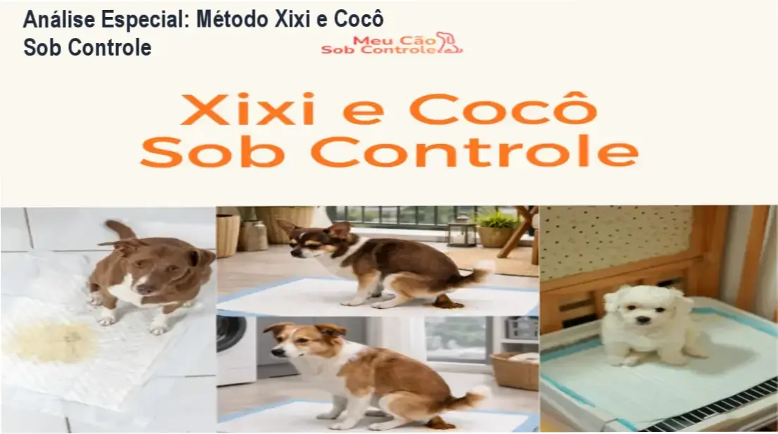 Capa informativa sobre o tema Método Xixi e Cocô Sob Controle