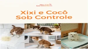 Capa informativa sobre o tema Método Xixi e Cocô Sob Controle