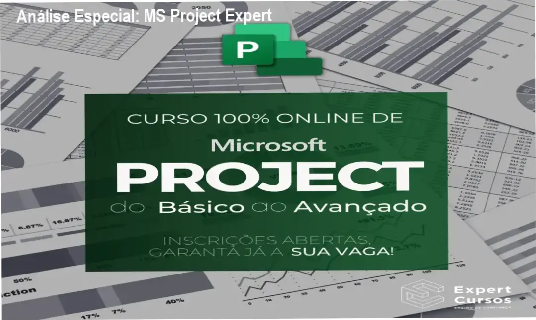 Capa informativa sobre o tema MS Project Expert