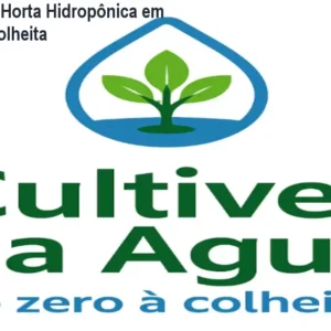 Cultive na Água – Horta Hidropônica em Casa do Zero à Colheita