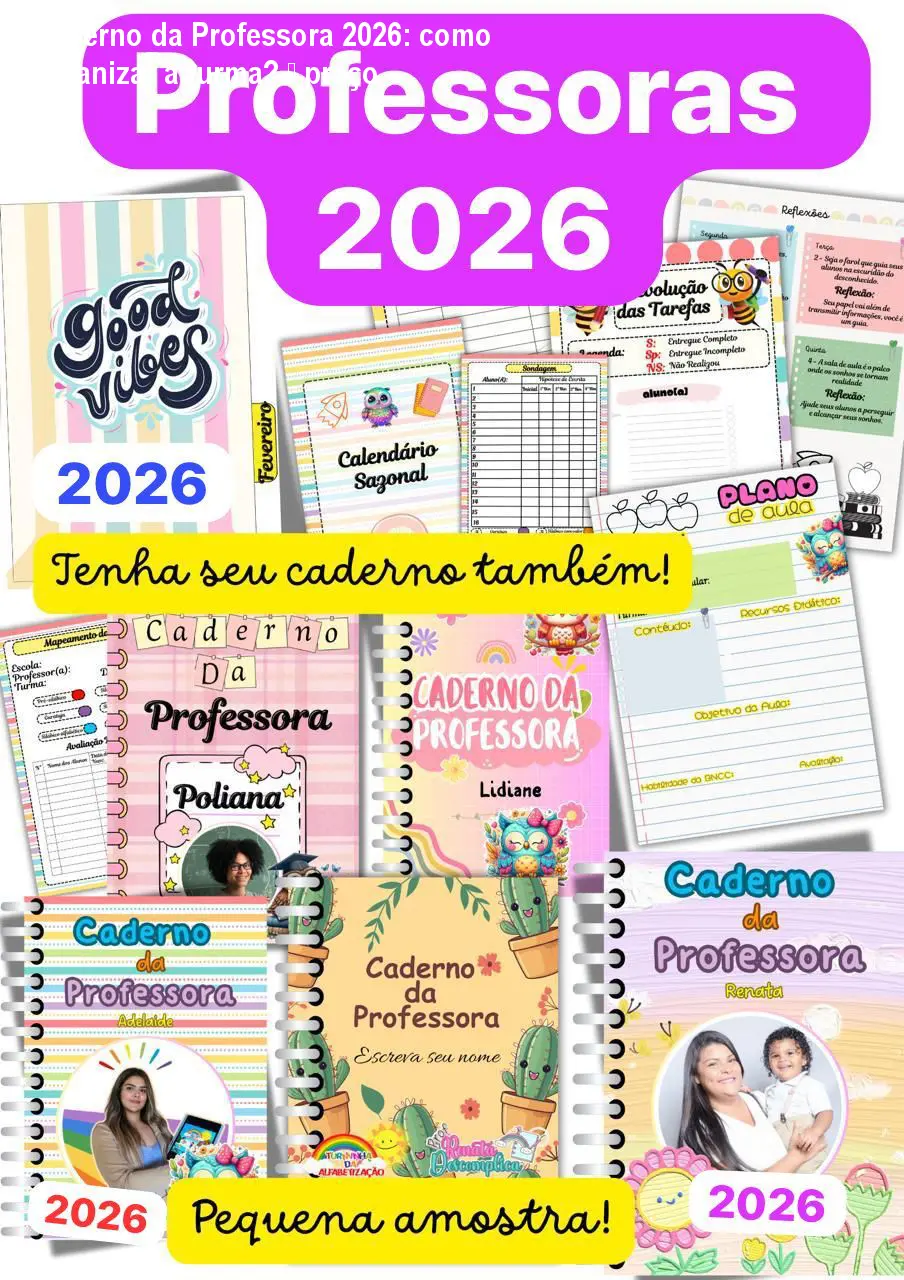Caderno da Professora 2026: como organizar a turma? — preço