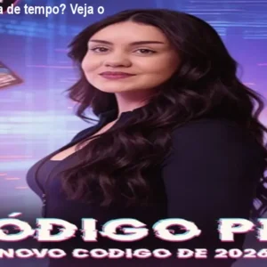 Código PEV – falta de tempo? Veja o preço