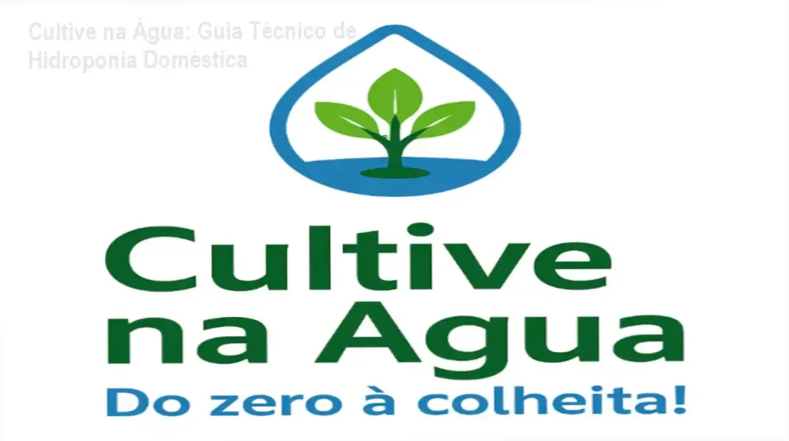 Curso Cultive na Água mostrando sistemas hidropônicos caseiros
