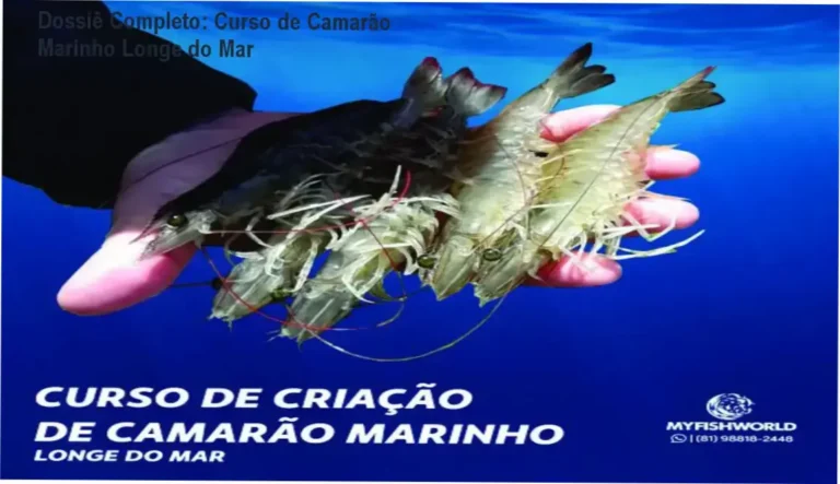 Visão geral do Curso de Criação de Camarão Marinho Longe do Mar, mostrando módulos e projetos produtivos