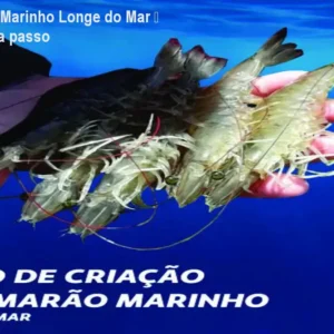 Curso Camarão Marinho Longe do Mar – Aprenda passo a passo