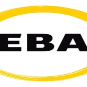 EBA – Domine Dados com a Renata Biaggi em 45h