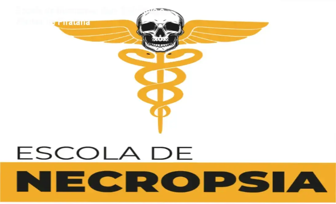 Imagem ilustrando a certificação original do curso Escola de Necropsia e alerta contra copias piratas