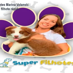 Curso Super Filhotes Marina Volanski – Como educar seu filhote rápido