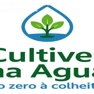 Cultive na Água: Do Zero à Colheita com Técnicas Hidropônicas Práticas