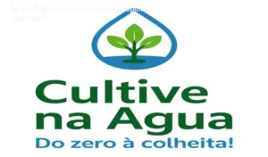 Bruno Palma Cultive na Água bastidores funcionamento visão interna hidroponia