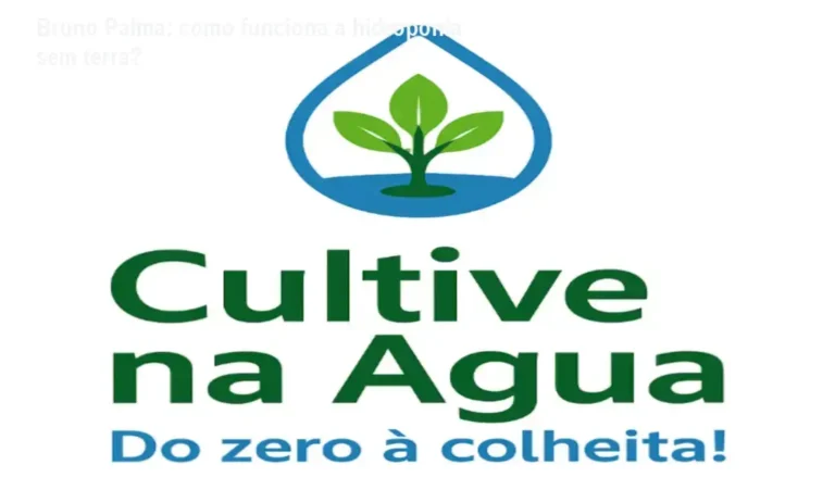 Bruno Palma: como funciona a hidroponia sem terra?