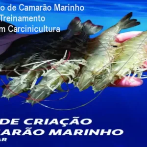 Curso de Criação de Camarão Marinho Longe do Mar - Treinamento Especializado em Carcinicultura Superintensiva