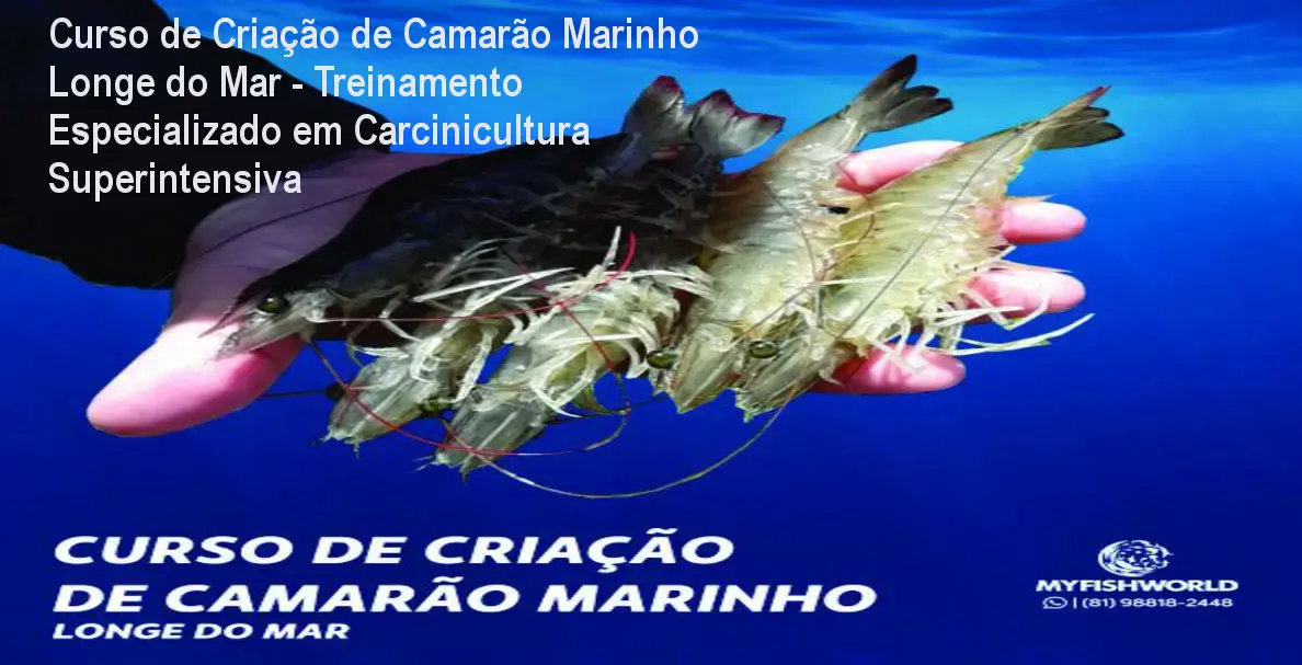 Curso de Criação de Camarão Marinho Longe do Mar - Treinamento Especializado em Carcinicultura Superintensiva