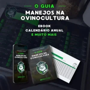 Guia de Manejo na Ovinocultura: Técnicas Práticas para Criadores