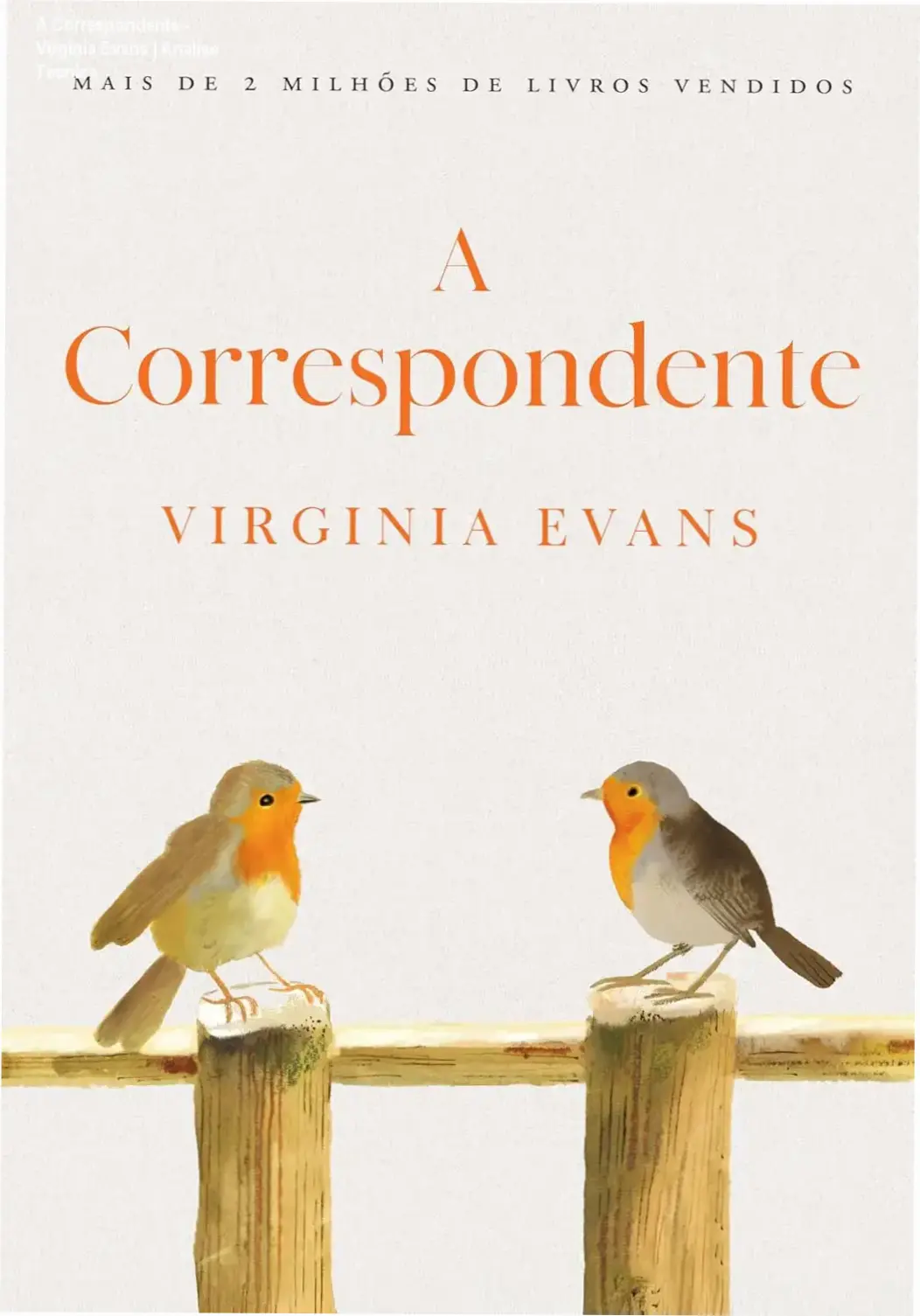 Capa do livro A Correspondente por Virginia Evans com design elegante e imagem simbólica de cartas