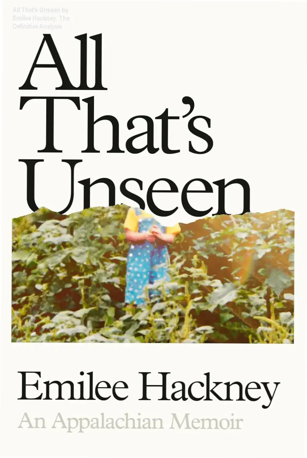 Book cover of All That's Unseen by Emilee Hackney