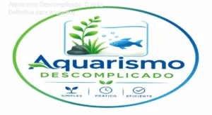 Aquário de água doce montado com plantas exuberantes e água cristalina