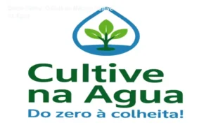 Detalhes do método Cultive na Água de Bruno Palma mostrando o funcionamento de sistemas hidropônicos