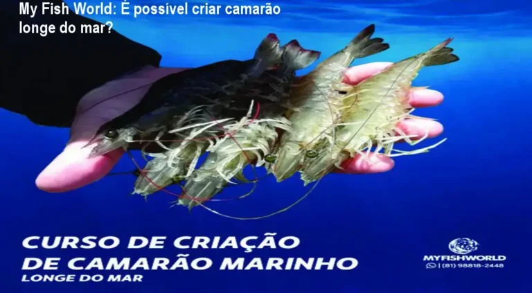 My Fish World: É possível criar camarão longe do mar?