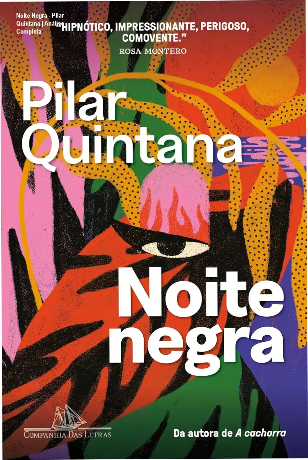 Capa do livro Noite Negra de Pilar Quintana, edição Companhia das Letras, destaque para arte de Elisa Von Randow.