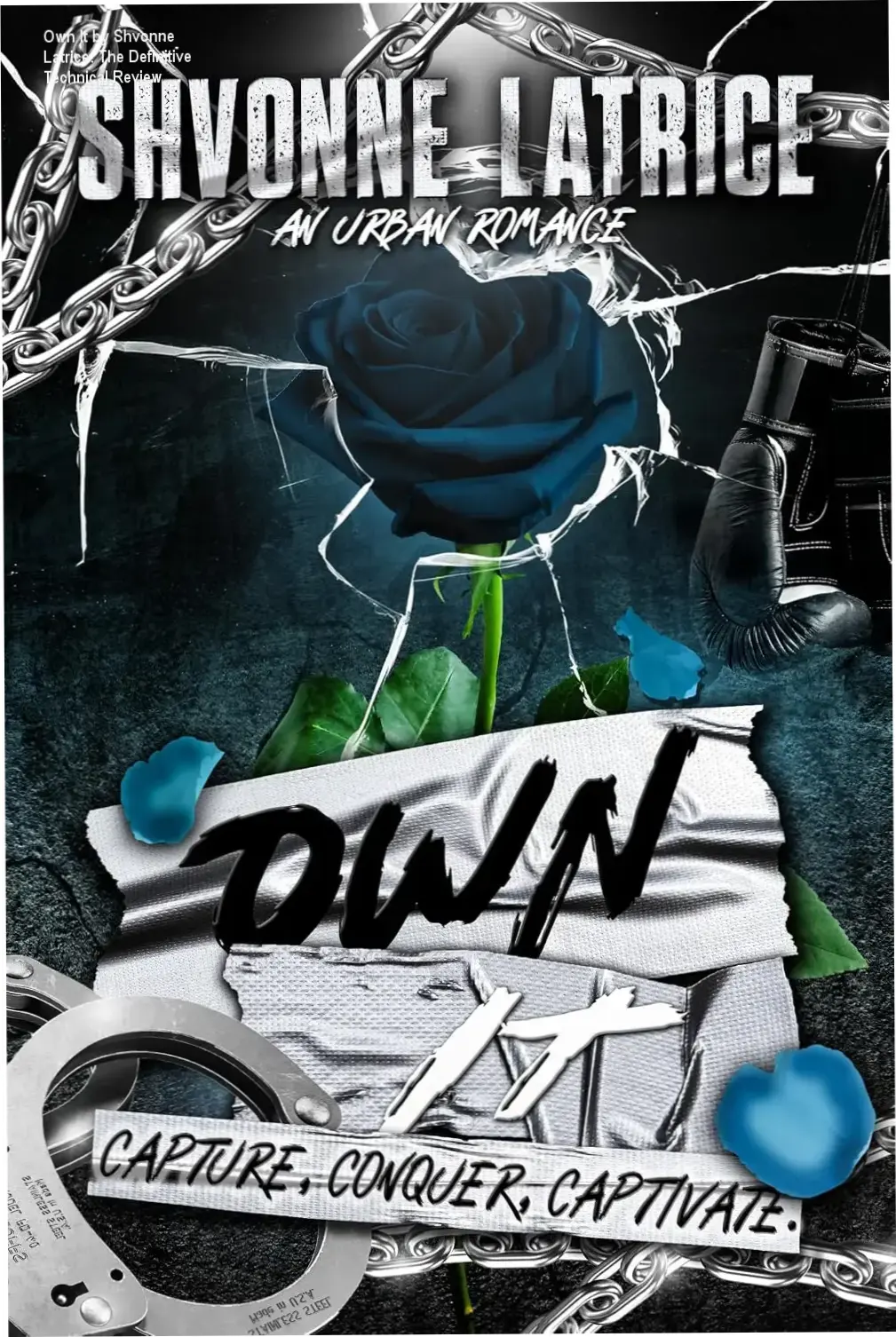 Digital cover of Own It An Urban Romance by Shvonne Latrice