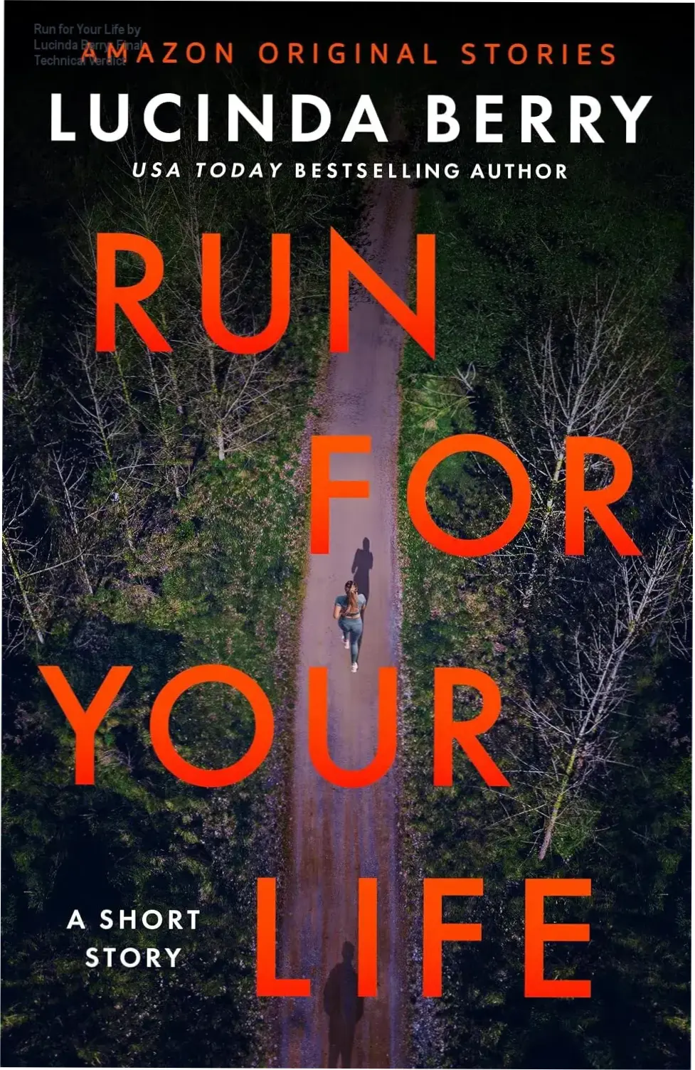 Ebook cover of Run for Your Life by Lucinda Berry on a digital screen