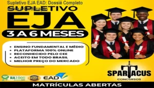 Representação de estudante adulto estudando online via computador para concluir o EJA