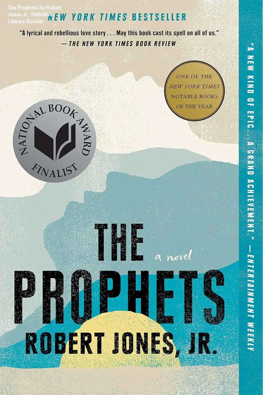 Cover of The Prophets by Robert Jones Jr. depicting a powerful historical fiction narrative