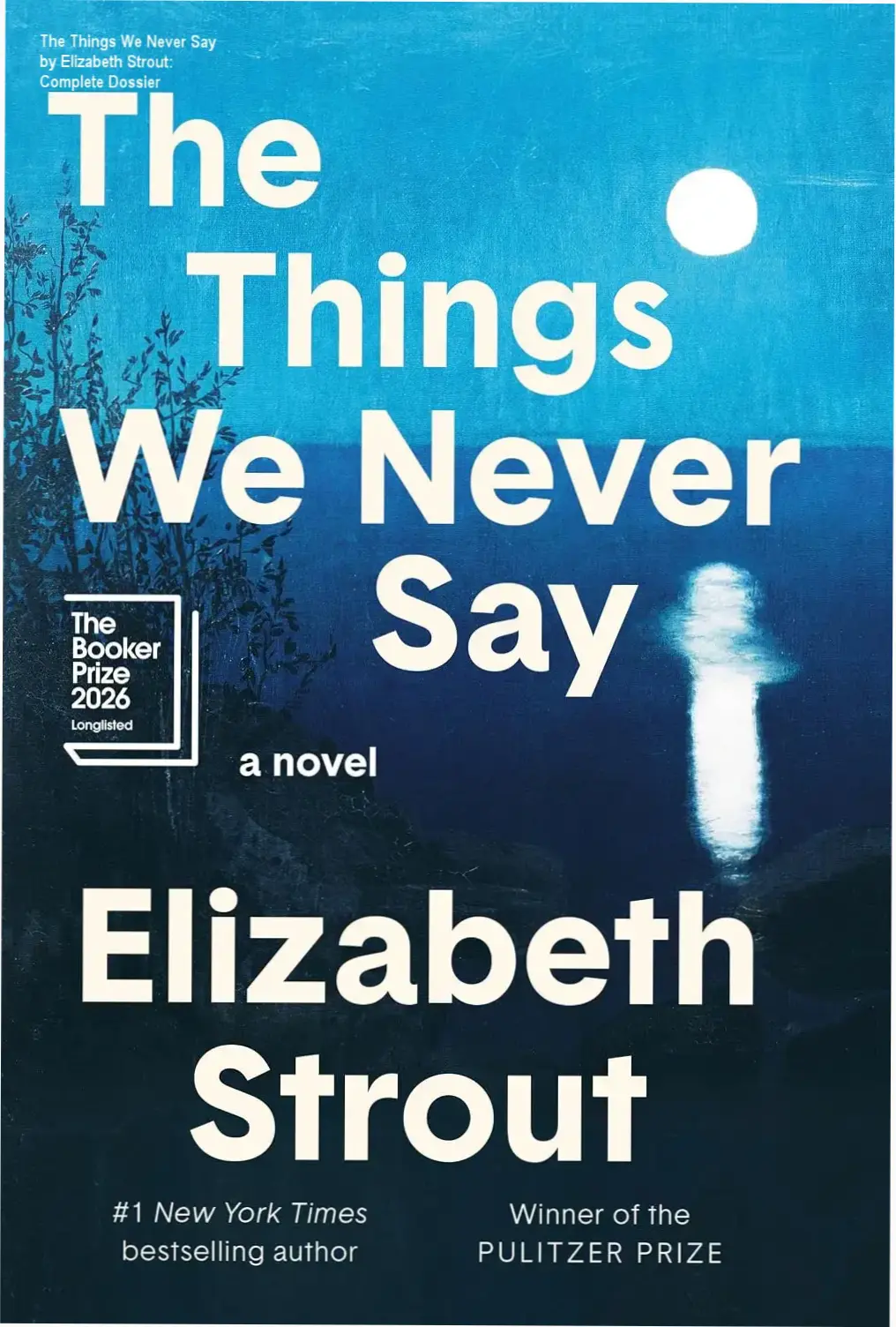 Digital ebook cover of The Things We Never Say by Elizabeth Strout