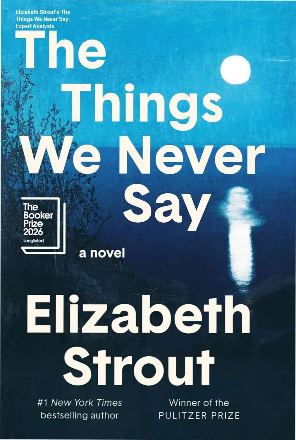 Hardcover edition of The Things We Never Say by Pulitzer Prize winner Elizabeth Strout