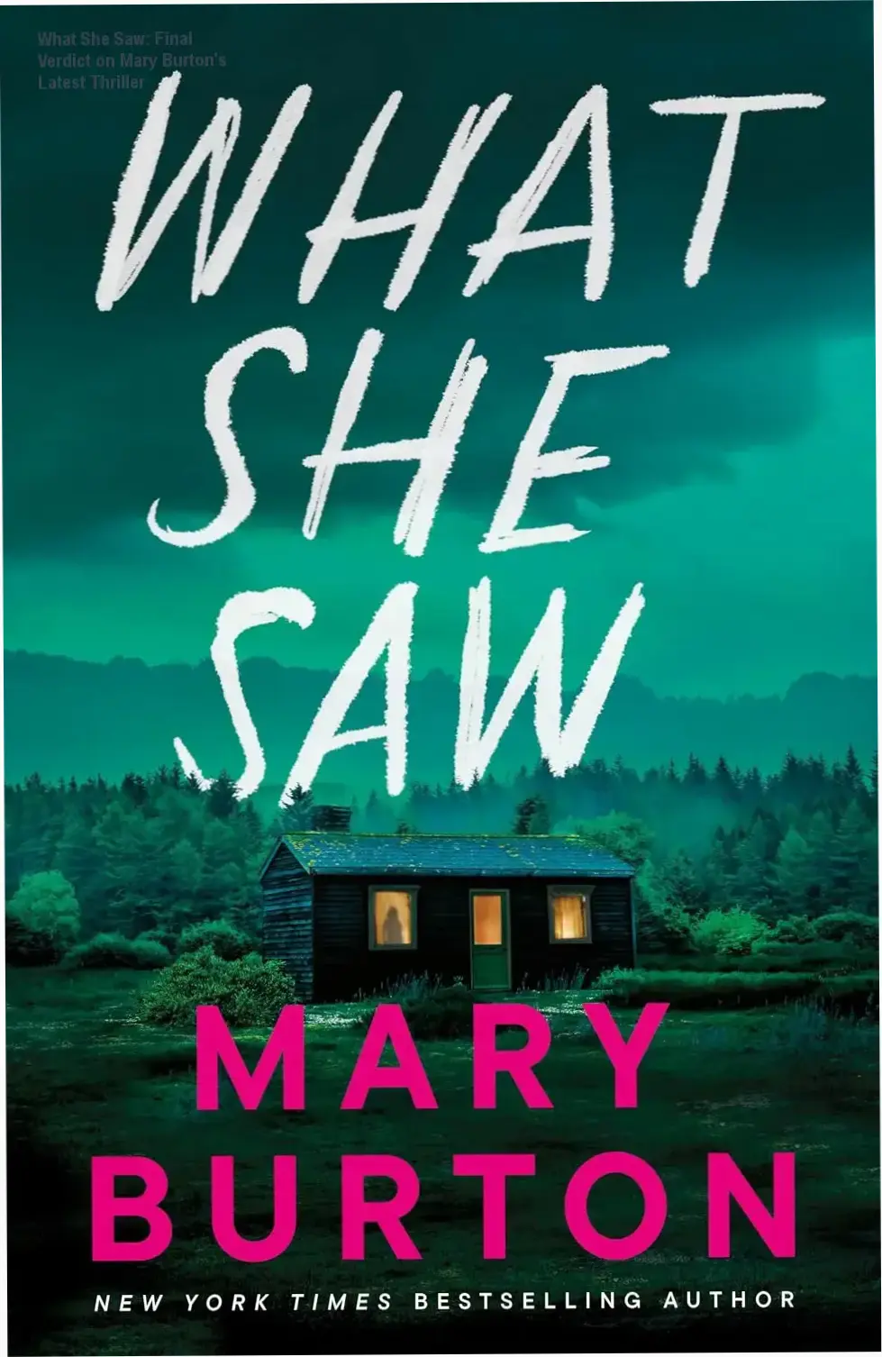 Ebook cover of What She Saw by Mary Burton featuring a suspenseful atmosphere