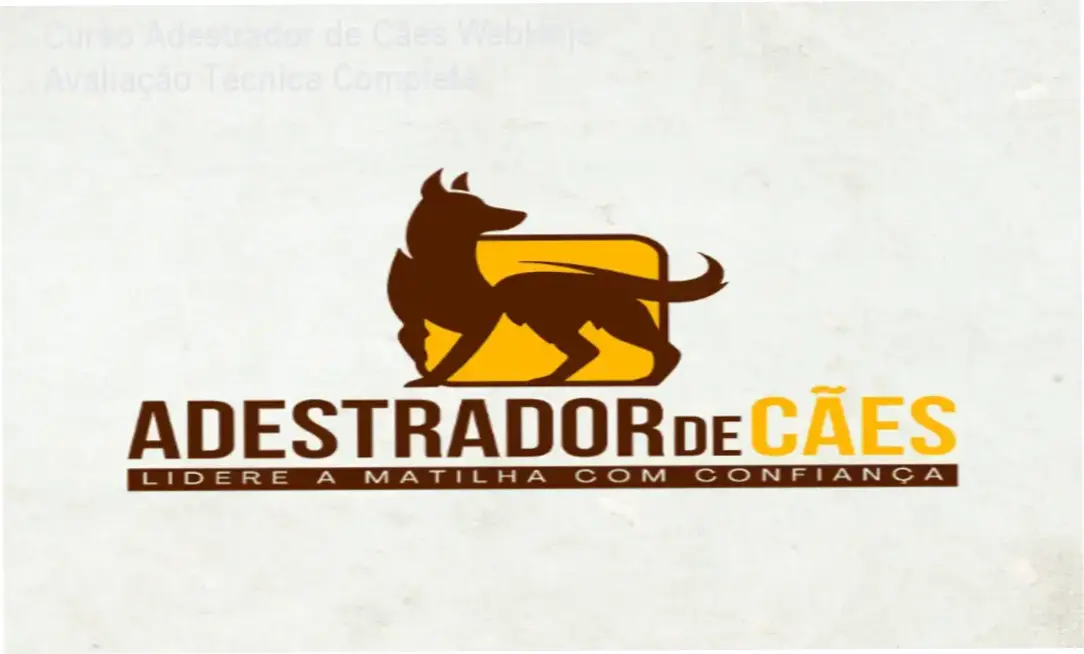 Estudante utilizando o Curso Adestrador de Cães da WebHoje para profissionalização no mercado pet
