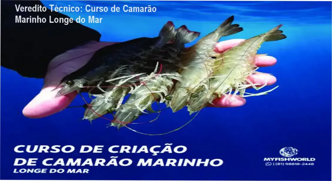 Esquema técnico de sistema de criação de camarão marinho longe do mar My Fish World