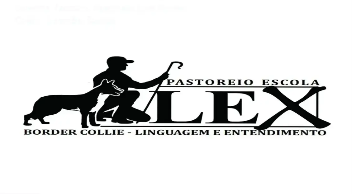 Introdução ao Entendimento do Pastoreio com Border Collie de Leandro Santos bastidores e funcionamento