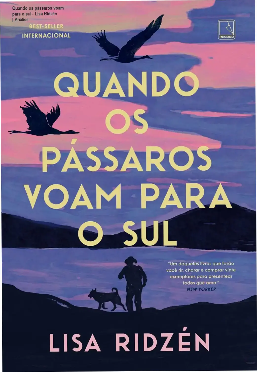 Capa do livro Quando os pássaros voam para o sul de Lisa Ridzén abordando a terceira idade