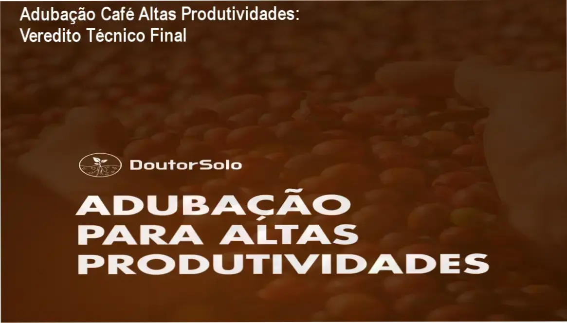 Análise técnica de solo e nutrição vegetal para café de alta produtividade