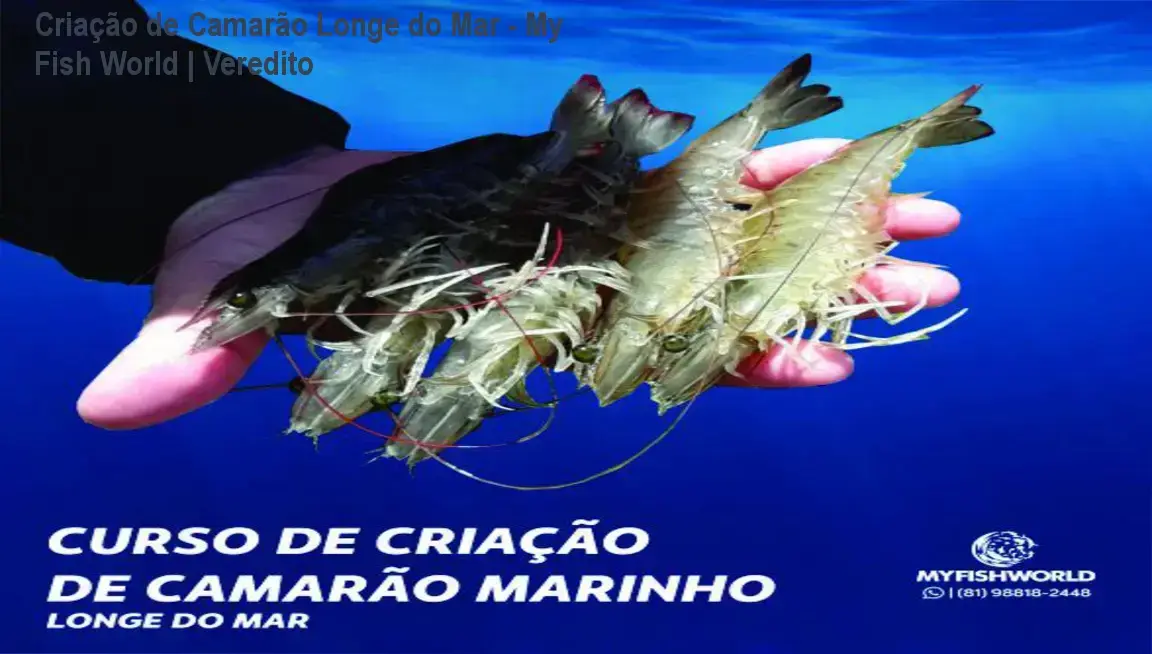 Sistema de criação superintensiva de camarão marinho em ambiente continental