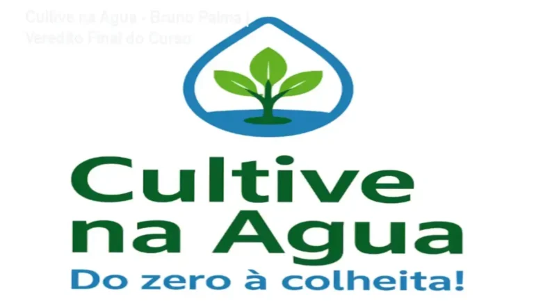 Sistema de hidroponia doméstica do curso Cultive na Água de Bruno Palma